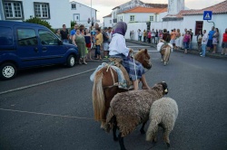 Cortejo (43)