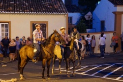 Cortejo (39)
