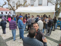 Dia de S&atilde;o Martinho (33)