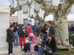 Dia de S&atilde;o Martinho (47)