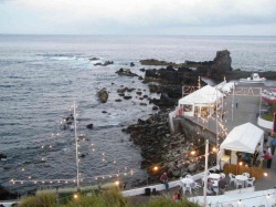 Cortejo (46)