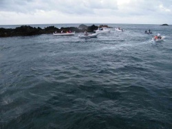Pesca (45)