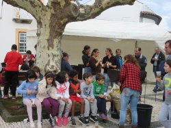 Dia de S&atilde;o Martinho (48)