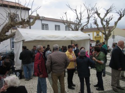 Dia de S&atilde;o Martinho (59)