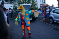 Cortejo (02)