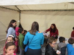 Dia de S&atilde;o Martinho (50)