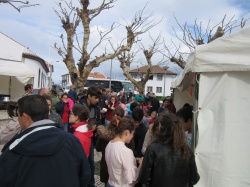 Dia de S&atilde;o Martinho (52)