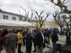 Dia de S&atilde;o Martinho (60)