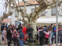 Dia de S&atilde;o Martinho (56)