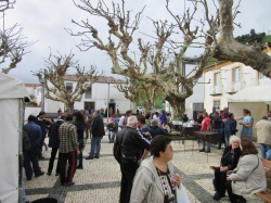 Dia de S&atilde;o Martinho (62)