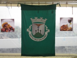 Dia de S&atilde;o Martinho (75)