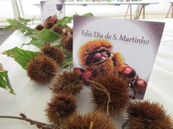 Dia de S&atilde;o Martinho (77)