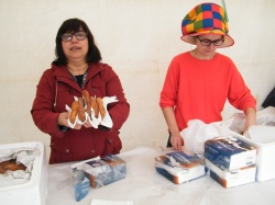 Carnaval (59)