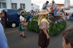 Cortejo (04)
