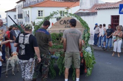 Cortejo (04)