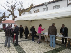 Dia de S&atilde;o Martinho (03)