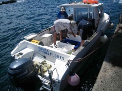 Pesca (71)