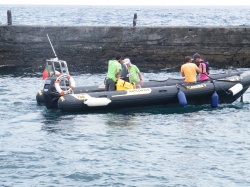 Concurso de Pesca (28)