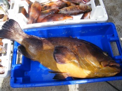 Concurso de Pesca (47)