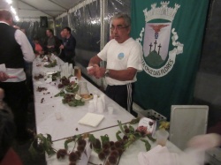 Dia de S&atilde;o Martinho (86)