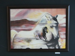 Exposi&ccedil;&atilde;o de Pintura sobre Seda Natural (08)