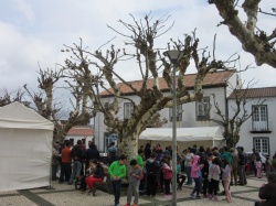 Dia de S&atilde;o Martinho (63)