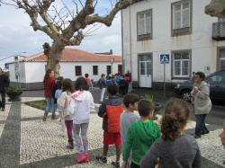 Dia de S&atilde;o Martinho (70)