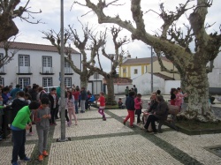 Dia de S&atilde;o Martinho (64)