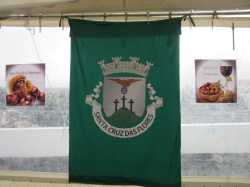 Dia de S&atilde;o Martinho (72)