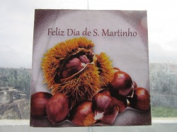 Dia de S&atilde;o Martinho (73)