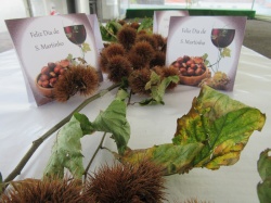 Dia de S&atilde;o Martinho (78)