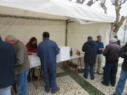 Dia de S&atilde;o Martinho (08)