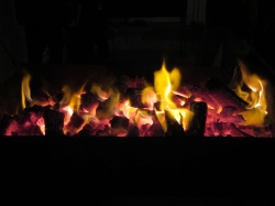 Dia de S&atilde;o Martinho (81)