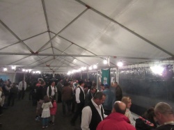 Dia de S&atilde;o Martinho (83)