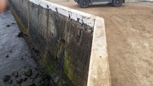 Autarquia Erradica Esgoto no "Porto Velho"