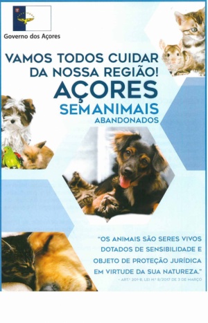 A&ccedil;ores sem animais abandonados