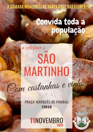 Comemora&ccedil;&atilde;o do S&atilde;o Martinho 2019