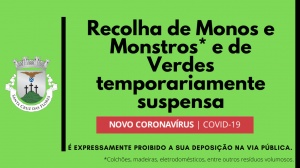 Recolha de Monos e Monstros e de Verdes temporariamente suspensa