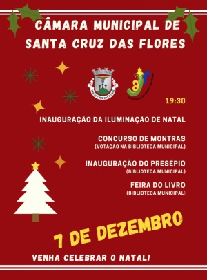 Programa de Natal 2020