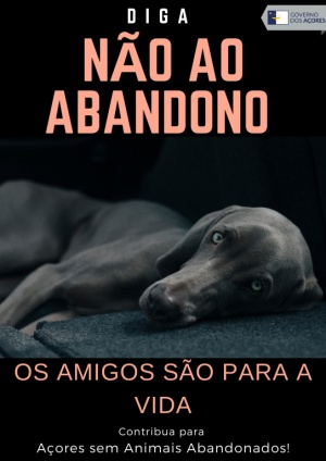 Diga N&atilde;o ao Abandono