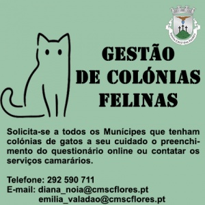 Gest&atilde;o de Col&oacute;nias Felinas