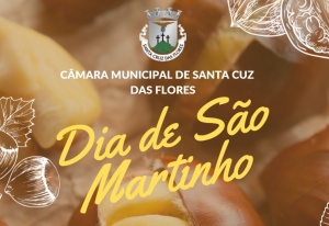 A C&acirc;mara Celebra o dia de S&atilde;o Martinho