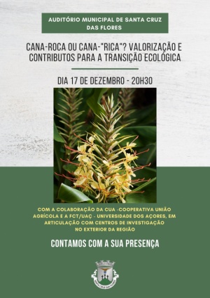 Cana-Roca ou Cana-"RICA"? Valoriza&ccedil;&atilde;o e contributos para a Transi&ccedil;&atilde;o Ecol&oacute;gica