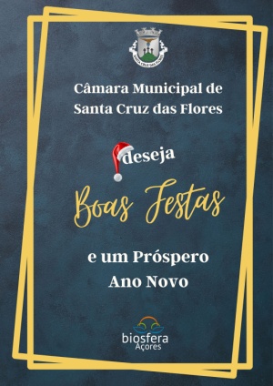 C&acirc;mara Municipal de Santa Cruz das Flores Deseja Boas Festas