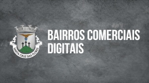 Candidatura da C&acirc;mara Municipal de Santa Cruz das Flores aos Bairros Comerciais Digitais