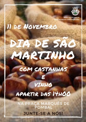 Dia de S&atilde;o Martinho - 11 de novembro