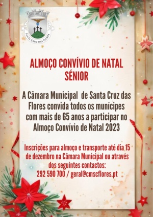 Almo&ccedil;o conv&iacute;vio de natal s&eacute;nior