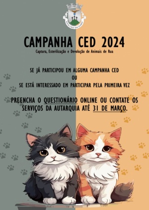Question&aacute;rio para realiza&ccedil;&atilde;o de Campanha CED em 2024