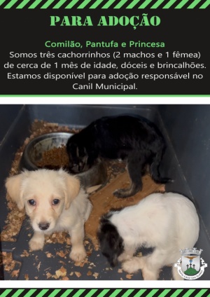 Para Ado&ccedil;&atilde;o Respons&aacute;vel