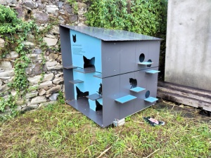 C&acirc;mara Municipal de Santa Cruz das Flores instala abrigos para felinos